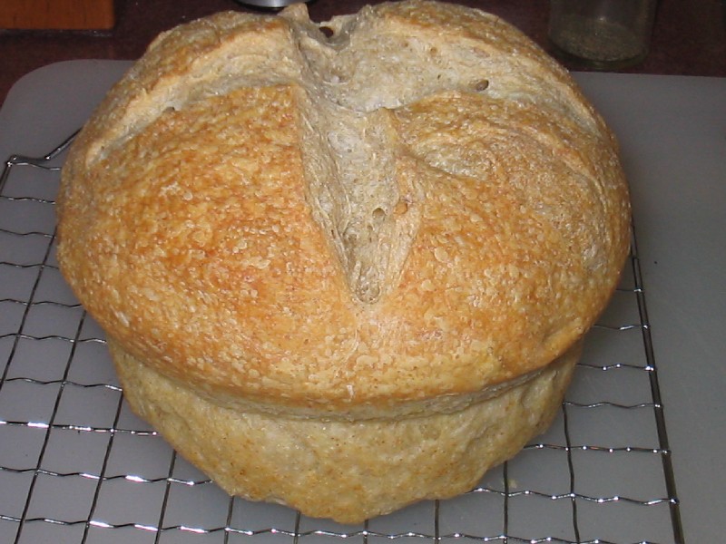 Retarding sourdough loaves overnight The Fresh Loaf